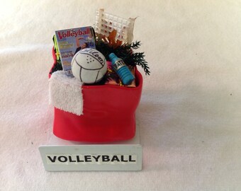 Volleyball Ornament