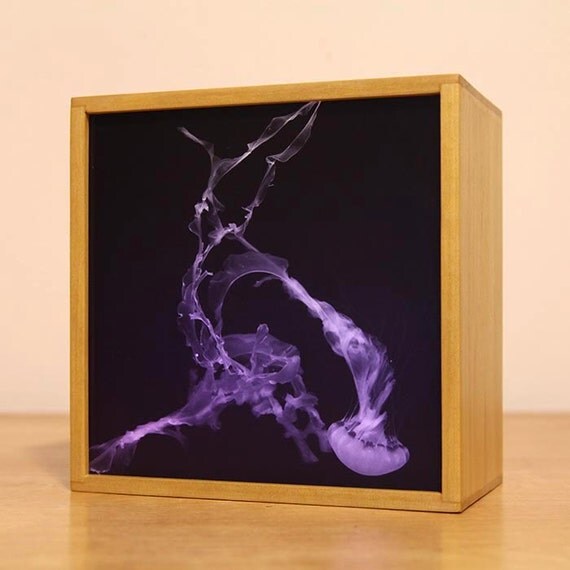LED Photo ColorChanging Light Box