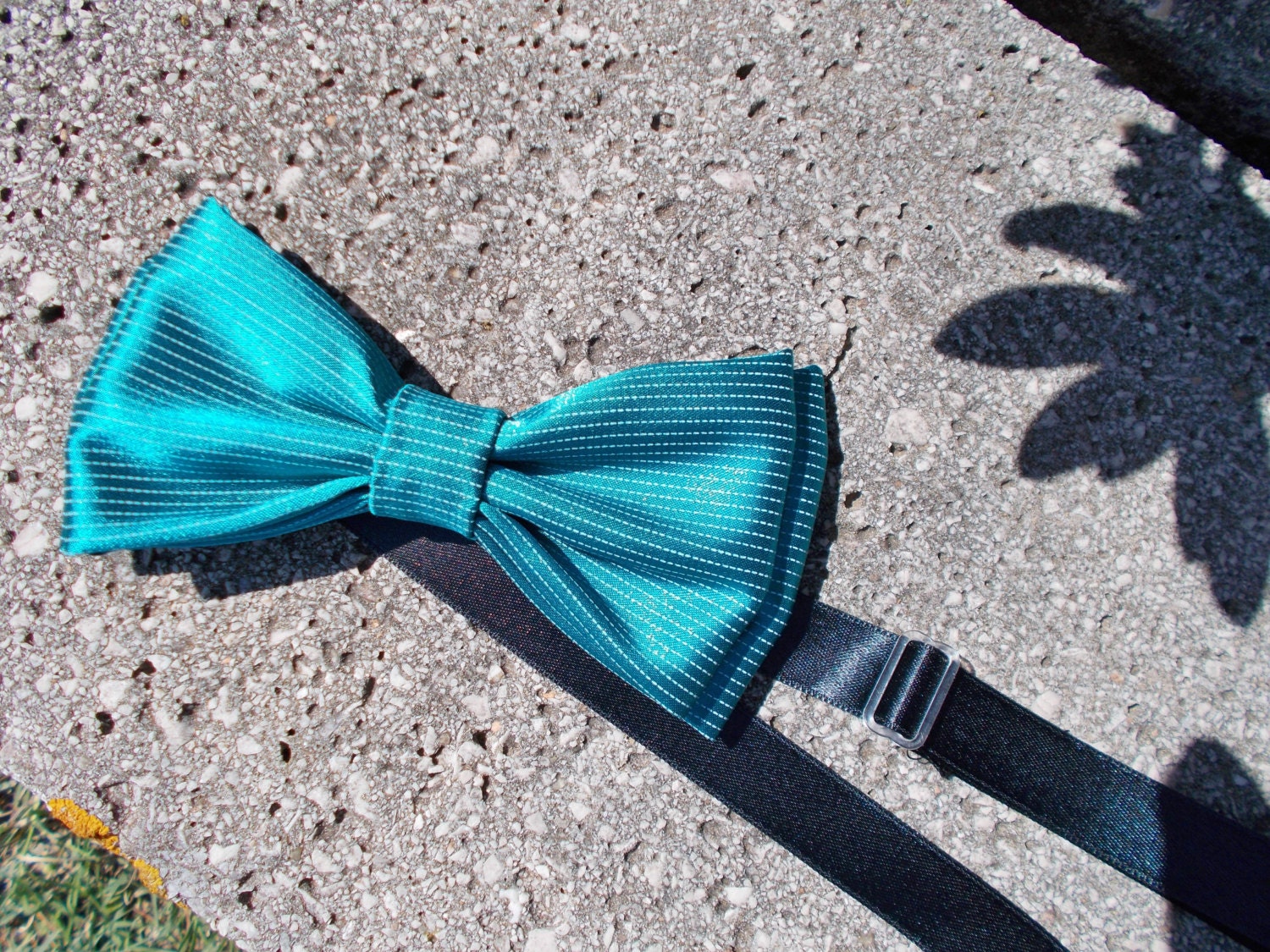colourful bow tie