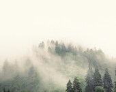 landscape photography, mountain photography, mountains, fog, mist, evergreens, pastel, green, nature, Elevation No. 2