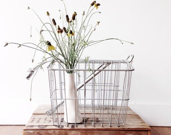 Vintage Bicycle Bike Basket - double,metal, galvanized