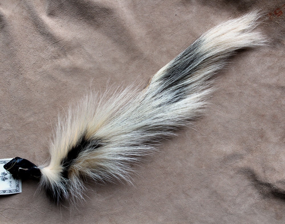Skunk tail real eco-friendly wild striped skunk fur tail NO