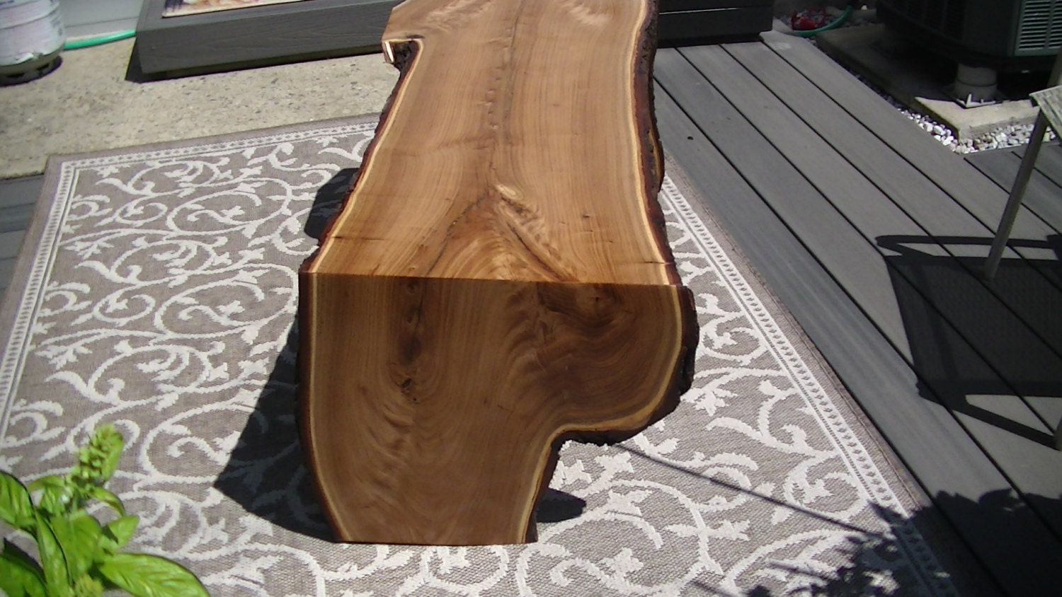 LIVE EDGE MULBERRY wood slab coffee table