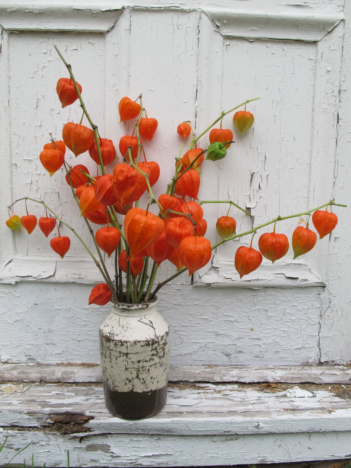 2015 CHinese JAPANESE LANTERNS Dried Stems floral flowers