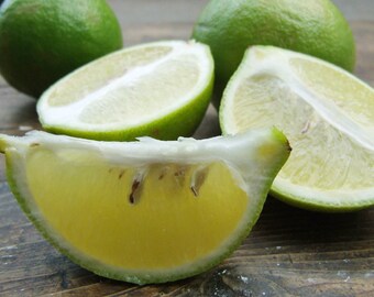 Bergamot EO Shower Gel, Whipped Body Butter, Lotion, Body Spray, Bath Soak, Shampoo or Conditioner