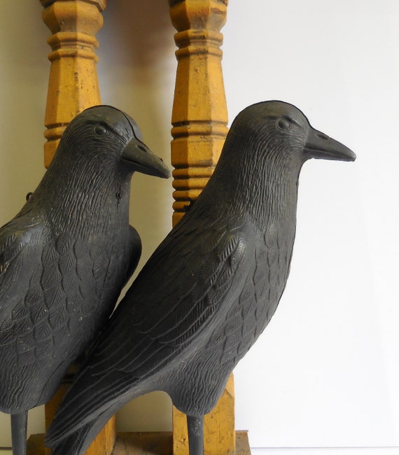 TWO Life size Crows Raven vintage Decoy Display by SalvageRelics
