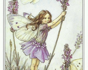 Lavender Fairy Cicely Mary Barker Flower Fairies Vintage Print 1995 Wall Art Nursery Decor Fairy Print Home Decor Print Fine Art