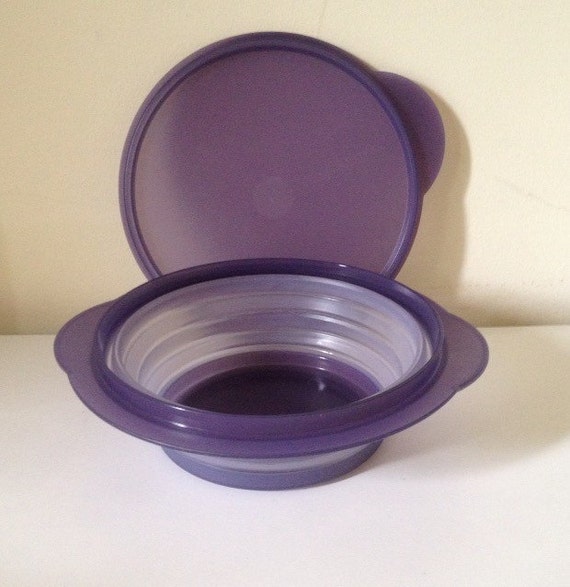 NEW Vintage Tupperware Flat Out Purple by RealizingEveryDream