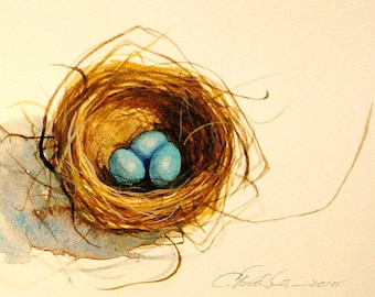 Watercolor nest of Robins eggs
