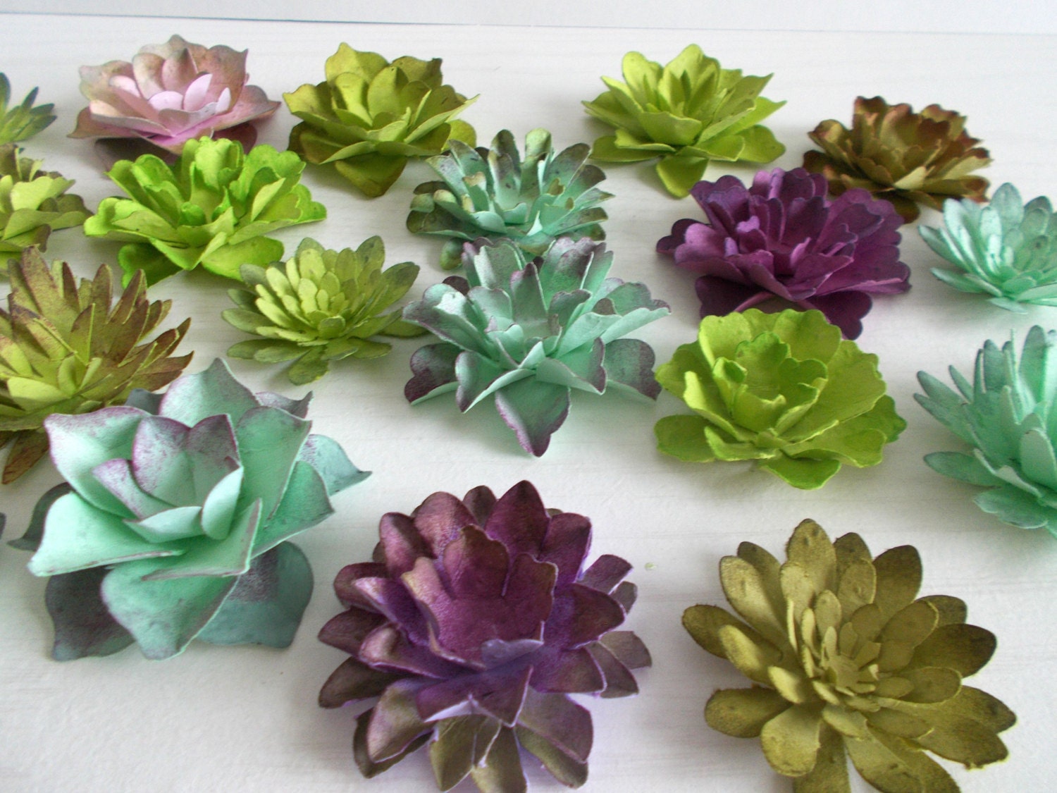 12 Paper Succulents Made from Seeded Paper - Hand Inked Paper - Assorted Succulents from Plantable Paper Embedded with Flower Seeds