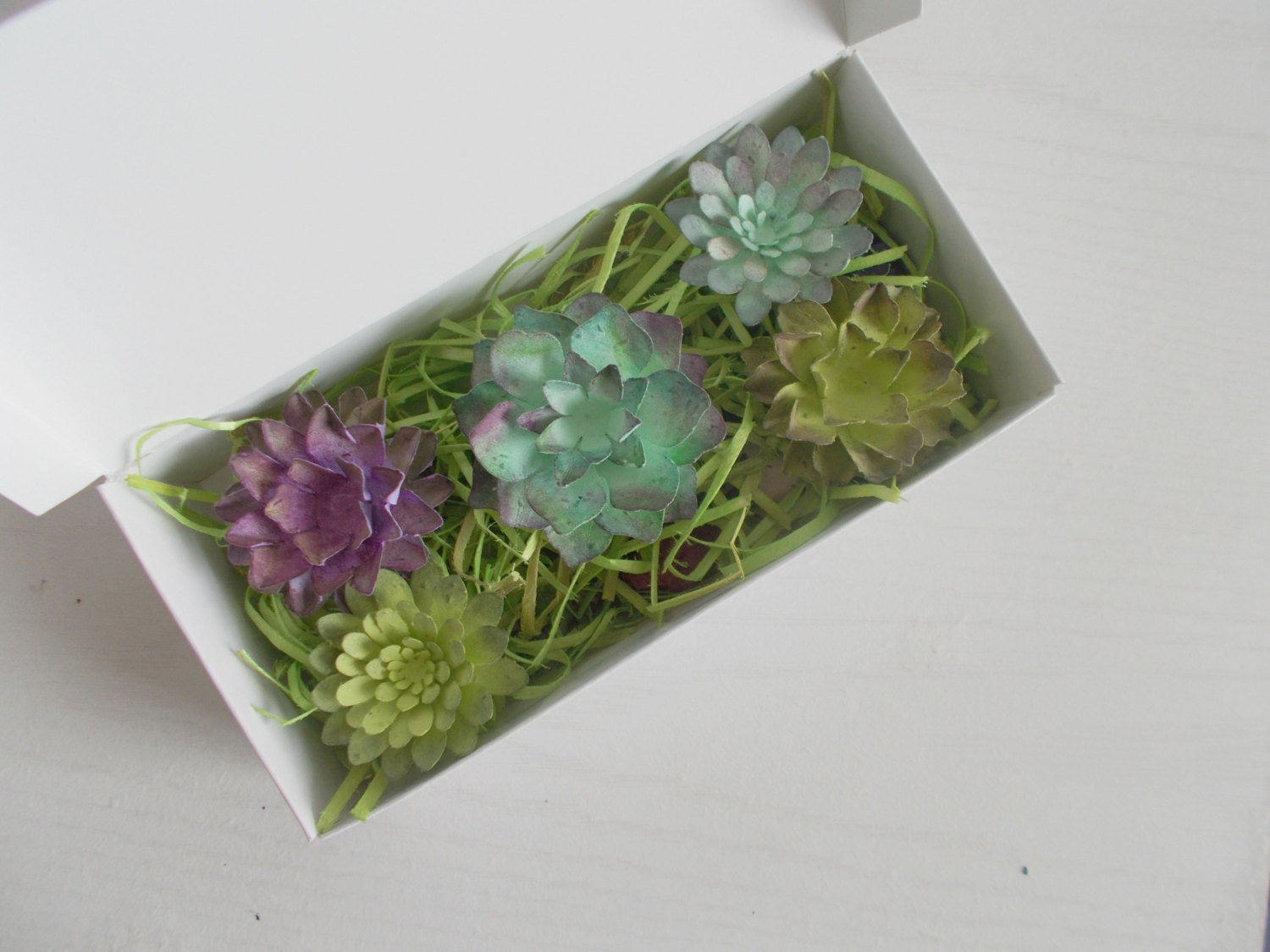 Seeded Paper Succulent  and Seed Bomb Sample Set - Unique Gardening Gift - Eco Friendly Gardener Kit - Naturalist Kit!