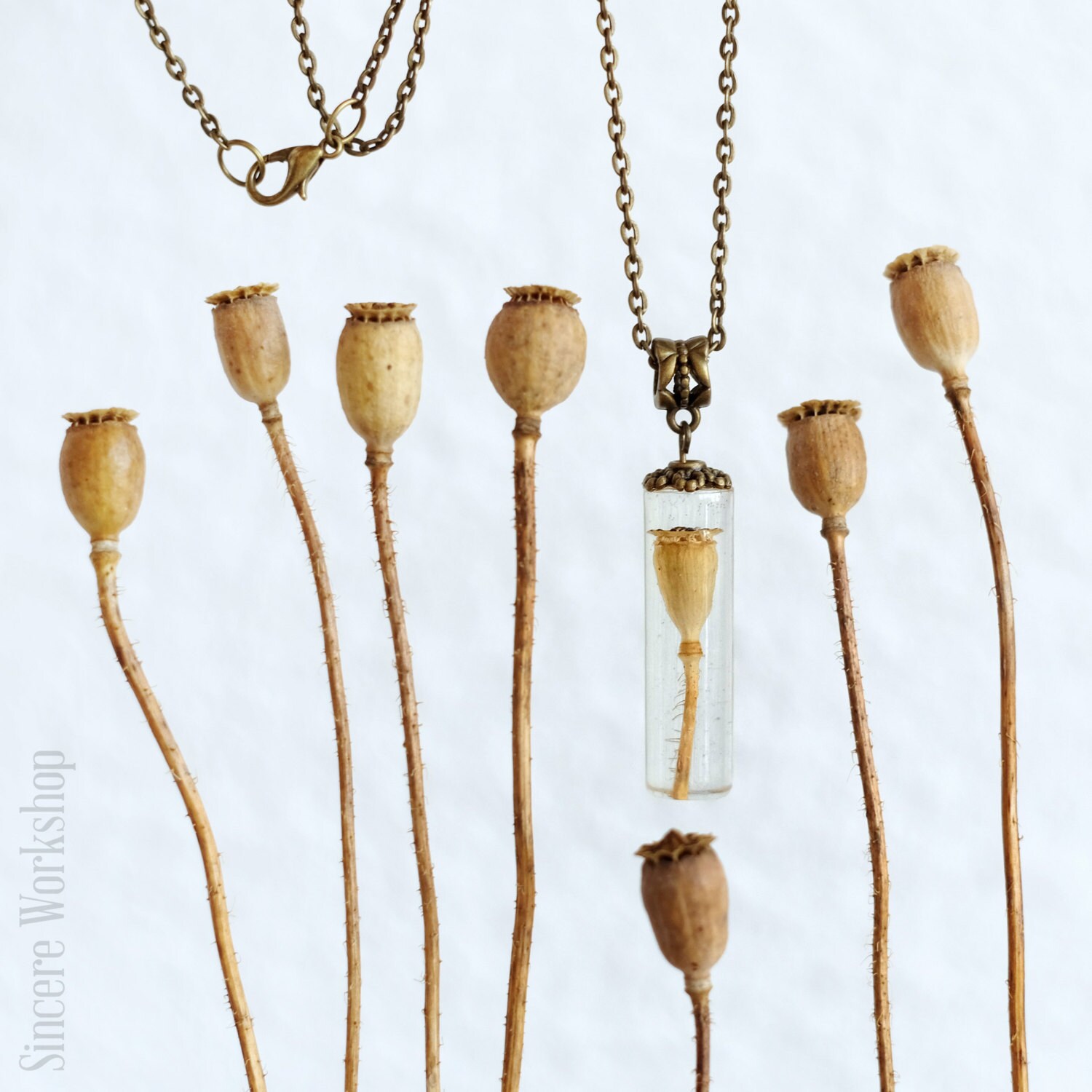 Necklace Dried poppy pods Dried Seed Head botanical jewelry