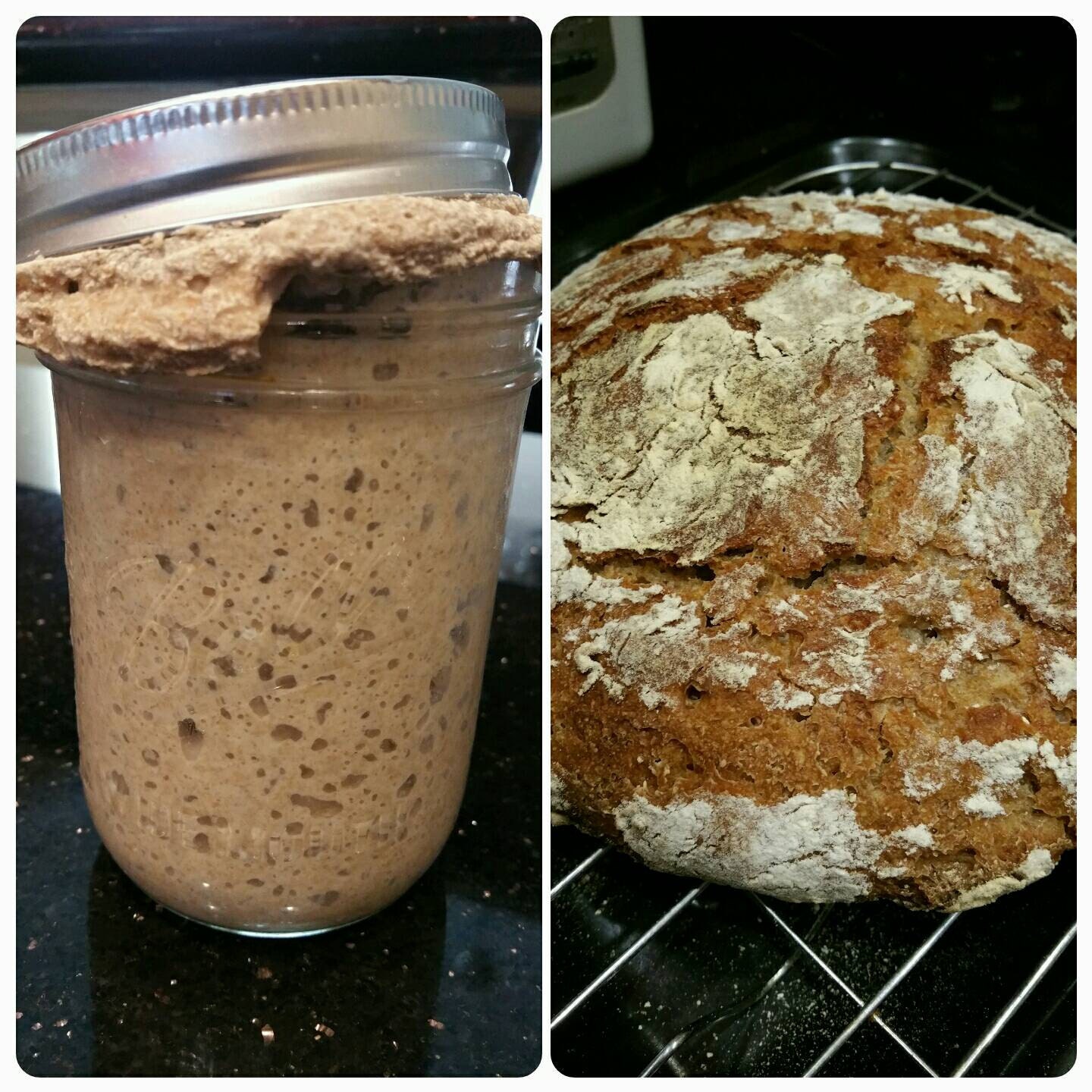 Traditional 100 RYE sourdough bread starter by AnythingHealthy