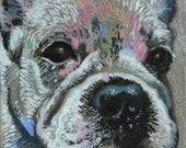 Small 6x6 Original Art Oil Painting Dog, unique gift for birthday, custom pet portrait