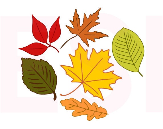 Download Autumn Fall Leaves SVG DXF EPS cutting files for use