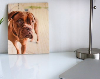 Pet Portrait Print, Dog Lover Gift, Custom Pet Print, Print On Wood, Dog Photo Frame, Pet Photo, Pet Picture Frame, Pet Memorial Frame