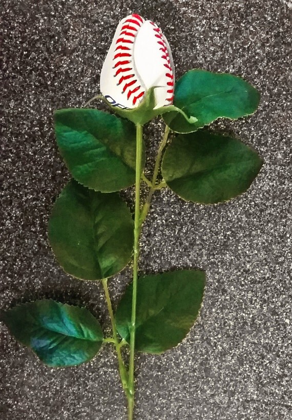 Items similar to Longstem Baseball Roses on Etsy