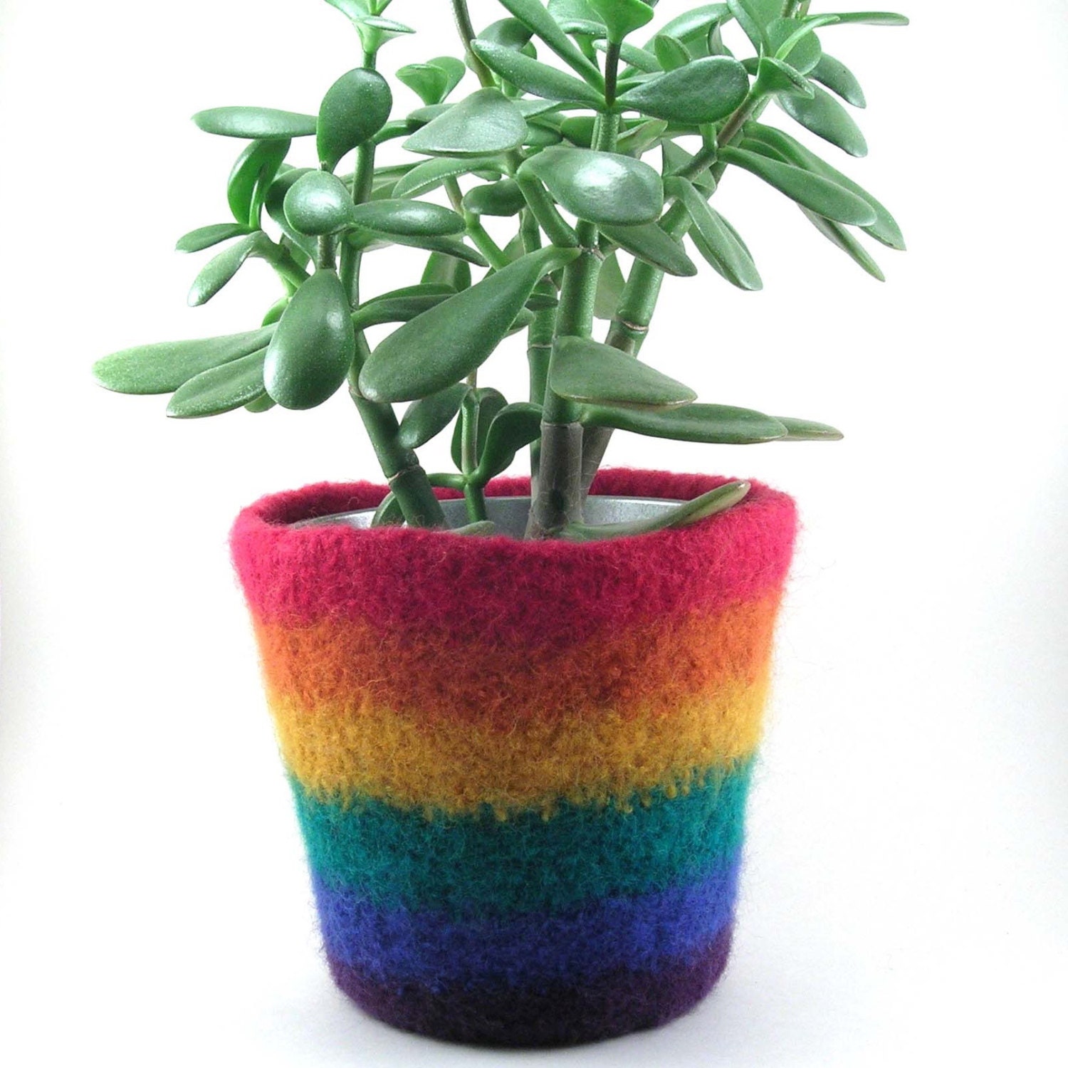 Wool felted planter rainbow wool plant pot utensil holder