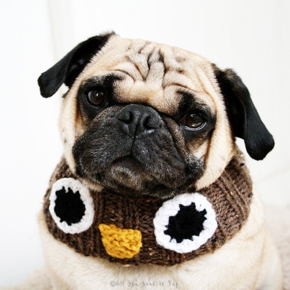 Owl Knit Dog Collar