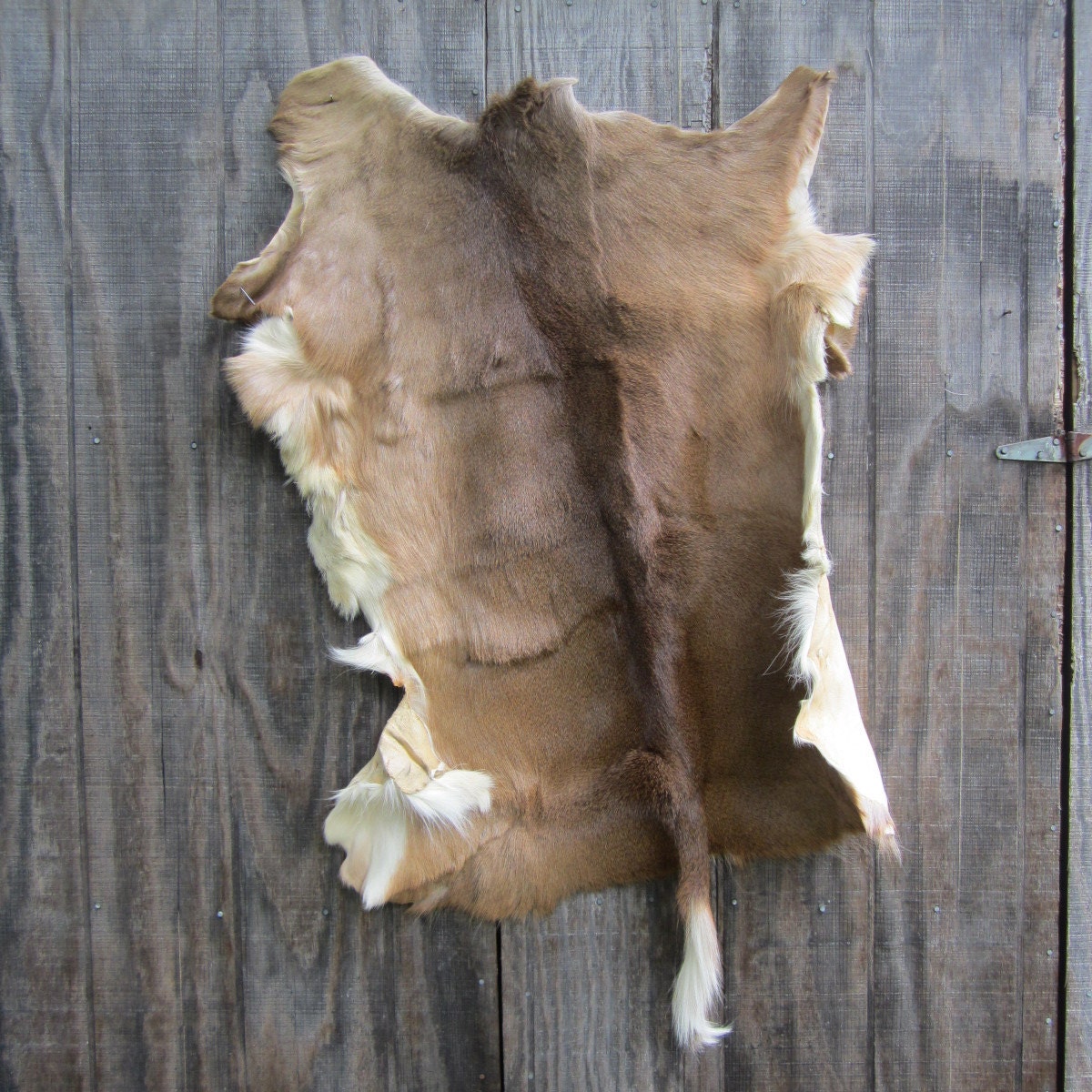 Large Tanned Whitetail Deer Hide Cabin Lodge Rug Pelt Skin or