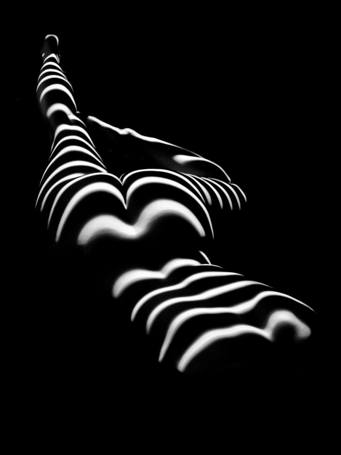 1120 Zebra Woman Stripe Series Photograph by Chris Maher