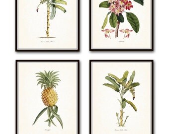 Vintage Tropical Botanical Print Set No. 1, Giclee Prints, Pineapple, Art, Beach Decor, Coastal Art, Botanical Print Set, Poster, Palm Trees