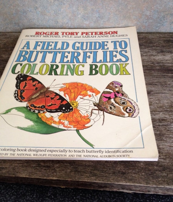 Vintage Butterfly Book 1980 S Color Book Amp By Ifoundvintage