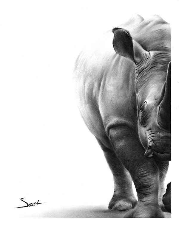 RHINO ART PRINT rhino print rhino wall art black rhino