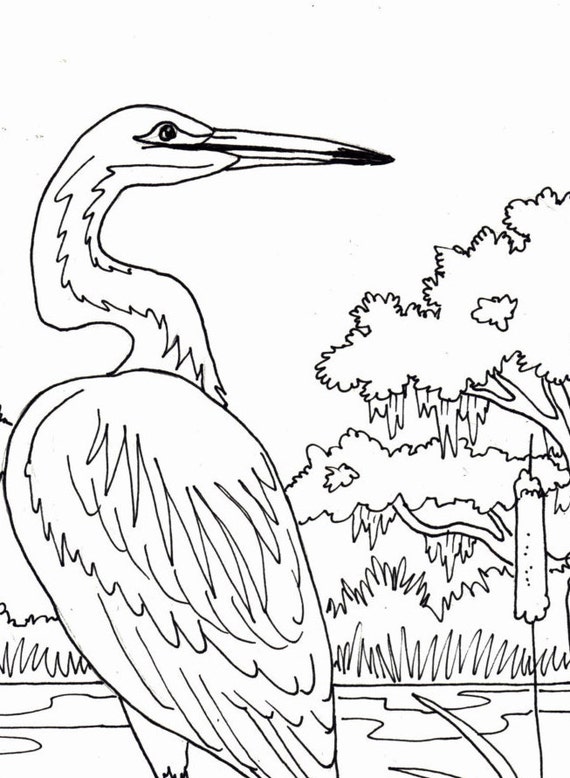 Download Egret coloring page embroidery pattern digital download