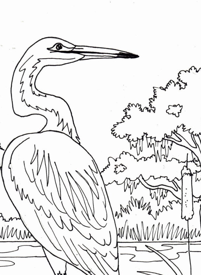 Download Egret coloring page embroidery pattern digital download