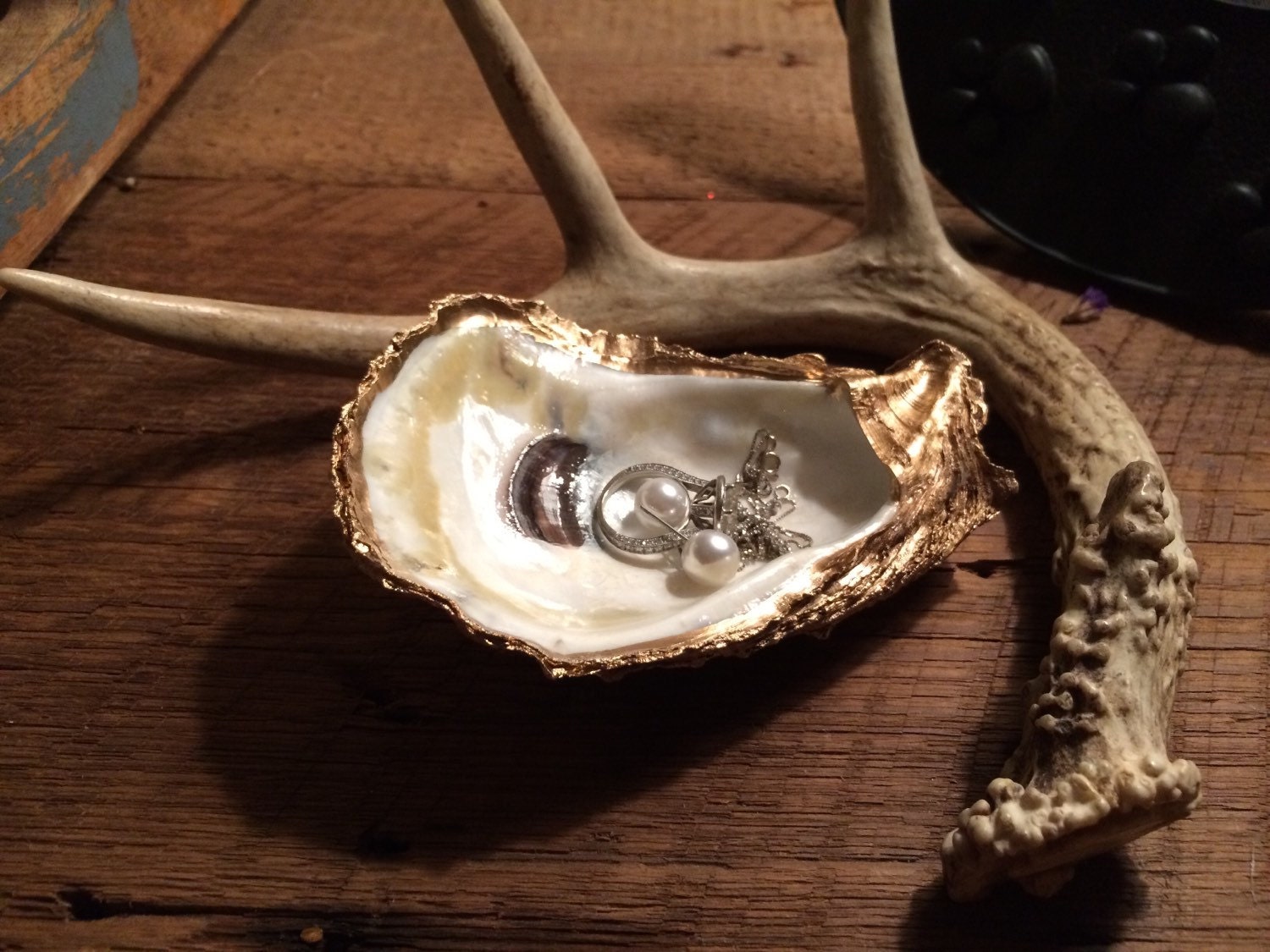 Oyster shell jewelry holder or salt/pepper holder