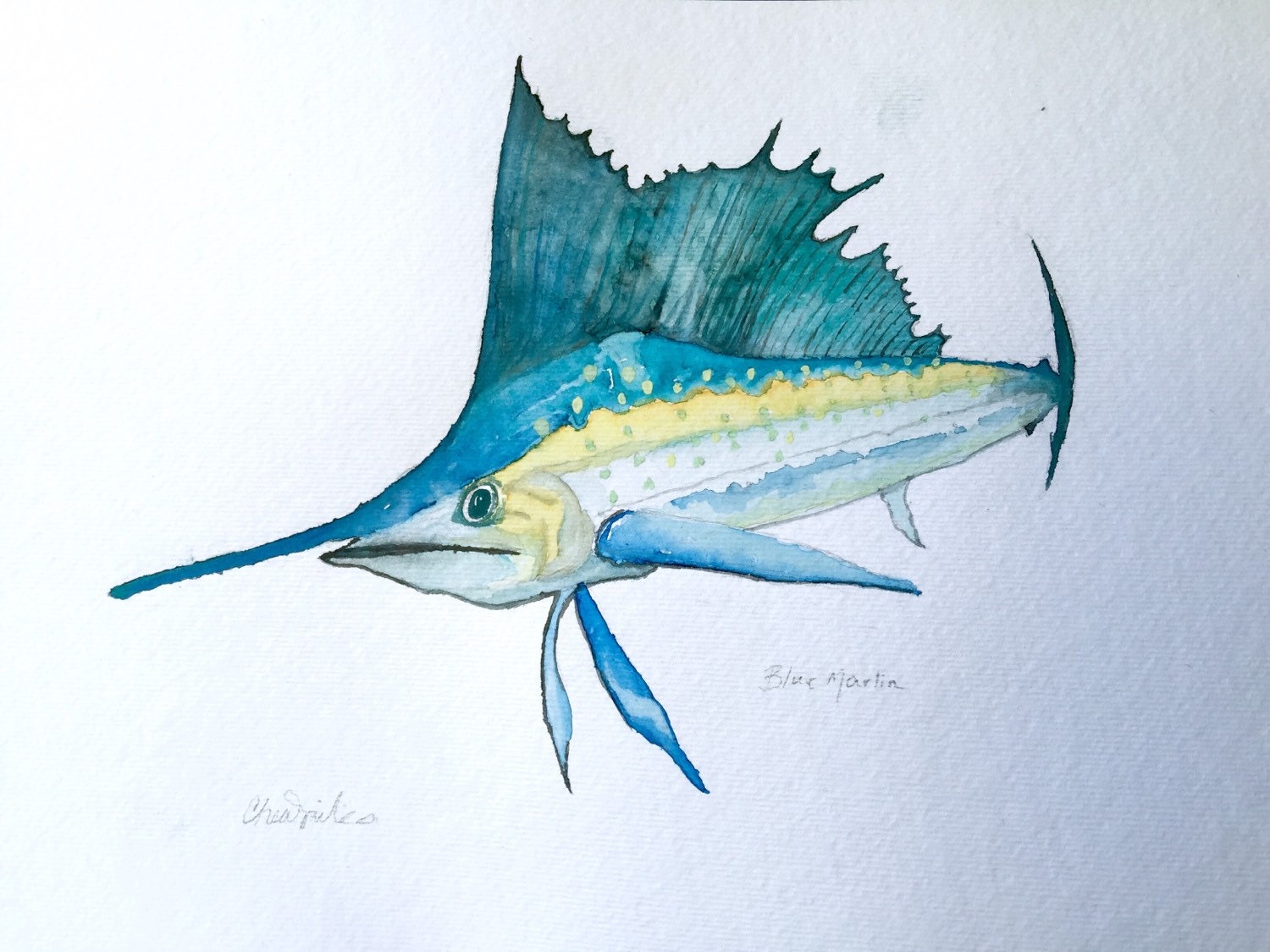 Blue Marlin Coastal Art Fish Art Original Watercolor