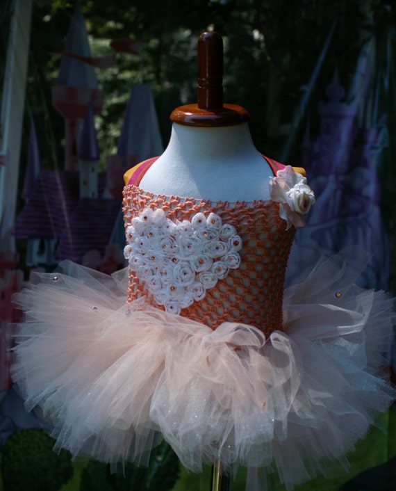 Peaches and Cream Tutu Dress Photo Shoot Tutu Birthday Girl