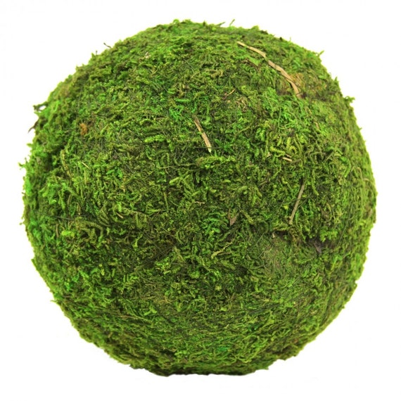 6 Decorative Green Moss Balls Moss Wedding by