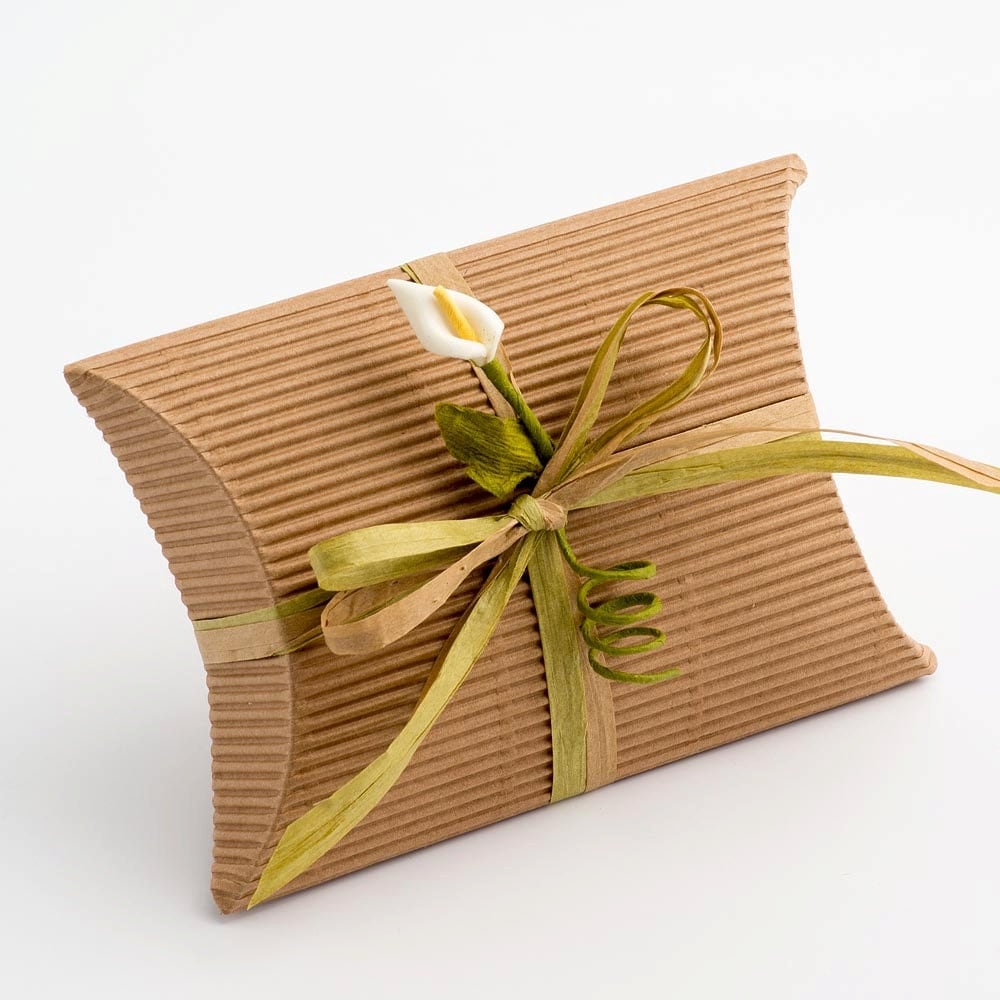 10 Corrugated Kraft Envelope Boxes