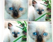 Clearance Siamese kittens cats ceramic tile coasters OOAK handpainted set of 4 Decor & Housewares exciting