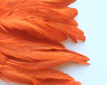 COQUE TAIL FEATHERS / Carrot Orange / 167
