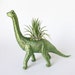 Dinosaur Planter with Air Plant Room Decor, College Dorm Ornament, Plants and Edibles, Metallic Green