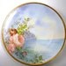 Haviland & Co. Limoges Plate Artist Signed Berton //Antique Porcelain Plate//Vintage China//Vintage Dining