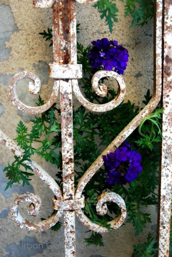 Antique Wrought Iron Fence Salvage by GardenCollector on Etsy