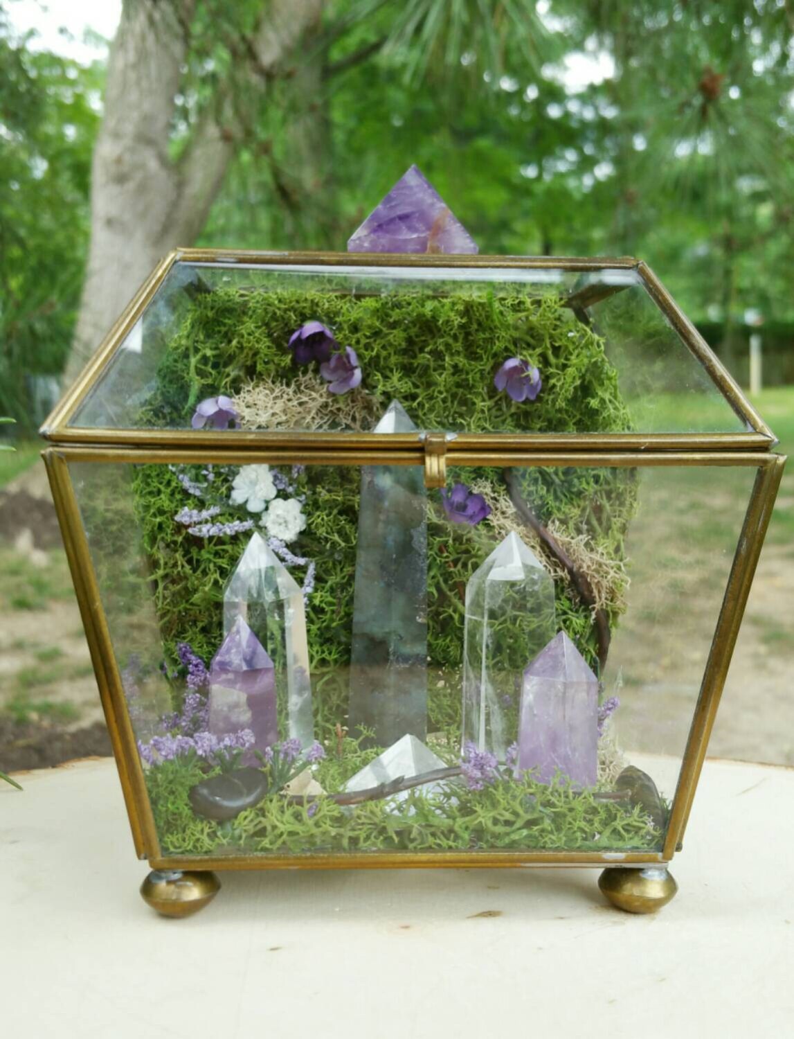 Terrarium Healing Crystals Terrarium Kit Glass Terrarium