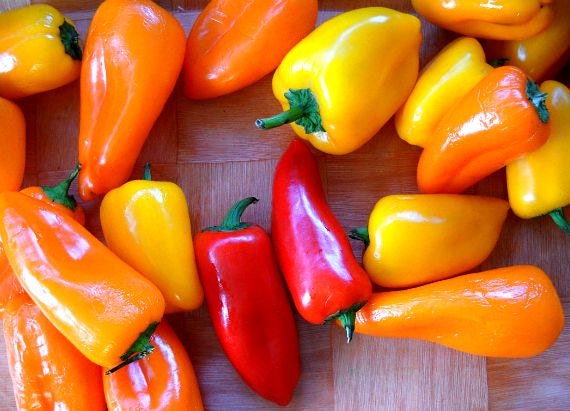 Romanian Rainbow Sweet Pepper 15 heirloom seeds non by SmartSeeds