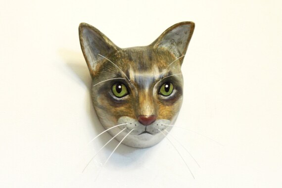 17 Top Photos Cat Staring At Wall Meowing / tetrabinary | CAT MACROS