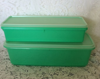 Tupperware celery | Etsy