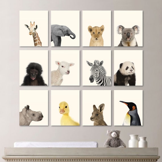 Baby Nursery Print Art Animal Nursery Decor Jungle Nursery