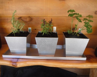 Galvanized Tray With 3 Planter Boxes