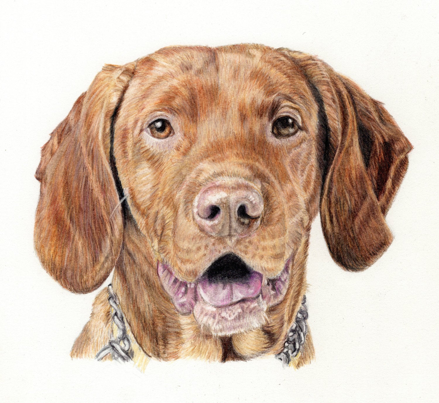 Custom Dog Portraitcolored pencil dog drawing original dog