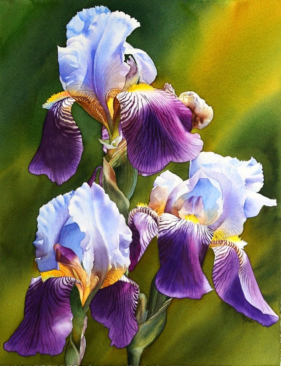 Items similar to Sunny Iris, ORIGINAL watercolor painting, beautiful ...