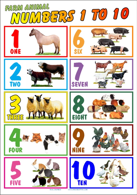 worksheets grade 1 xhosa Posters.Numbers Laminated 10..Childrens 1 educational A4