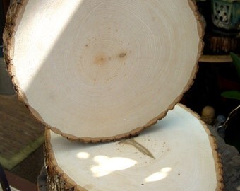 Wood Round 9-12 inch, Wood Slices, Natural, Table Decor With Bark Kiln Dried